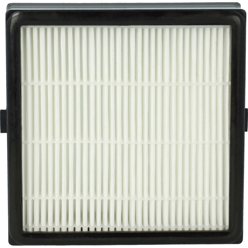 Vhbw - Filter compatible with Nilfisk King 510, Extreme, Home, 530, Arnoldi, 540, Great Dane, 520 Vacuum Cleaner - hepa Filter, Allergy Filter