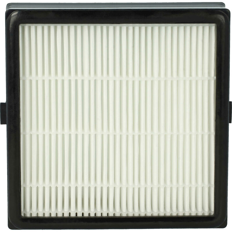 Vhbw - Filter compatible with Nilfisk King Special, Hygienic Vacuum Cleaner - hepa Filter, Allergy Filter