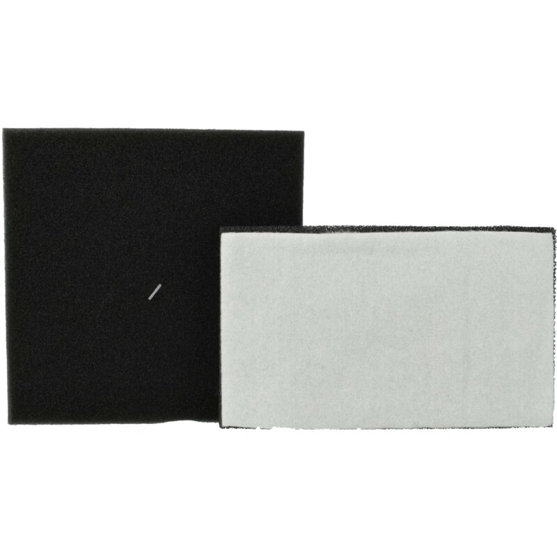 Vhbw - Filter Set compatible with Philips Performer Expert FC8720 - FC8729 Vacuum Cleaner - 2x Spare Filter (foam inlay, exhaust filter)
