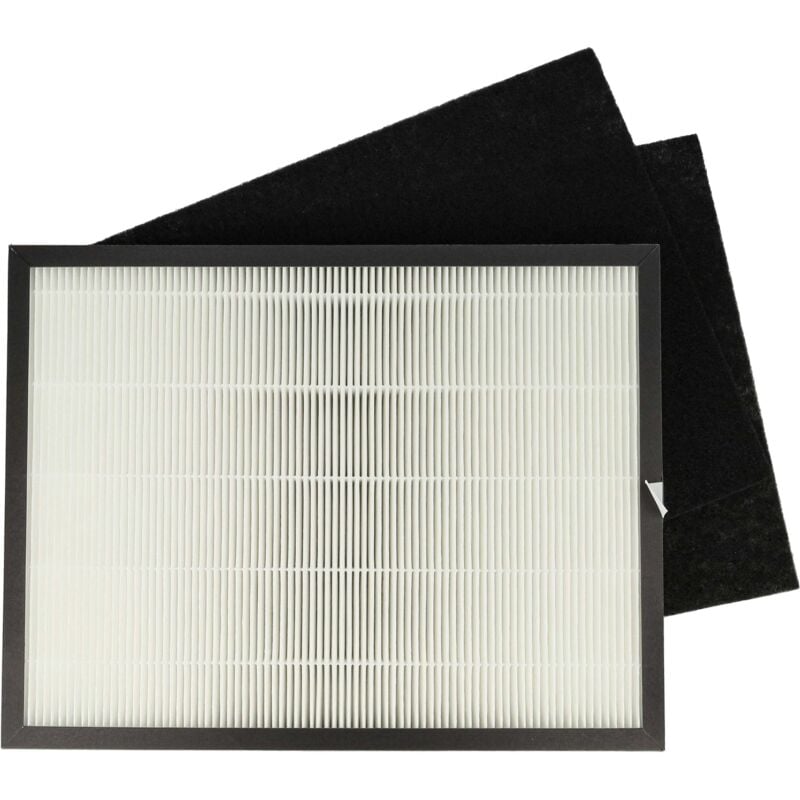 Vhbw - Filter Set compatible with Rowenta Intense Pure Air PU2120 - replacement for Rowenta XD6040FO, XD6040, H10 (2x activated carbon + 1x hepa)