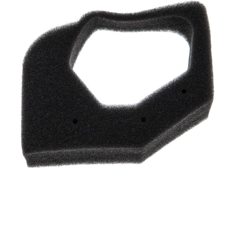 

Filtro (1x filtro de espuma) compatible con Honda GX25, GX25N, GX25NT, GX25T, GX35 Motor para bordeadora - Vhbw