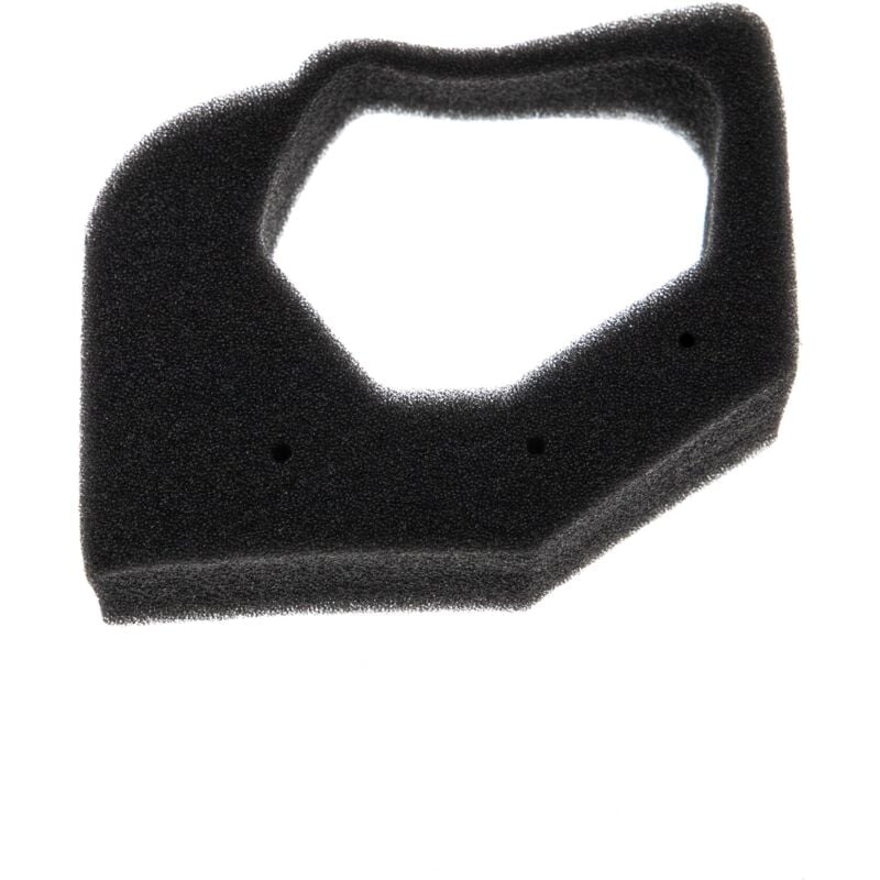 

Filtro (1x filtro de espuma) compatible con Honda HHT25, ULT425, UMK425, UMS425 bordeadora - Vhbw