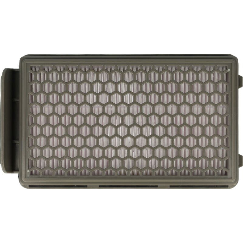 

Filtro compatible con Moulinex MO3786PA / 4Q0, MO3786PA4Q0 1P0052561P UA, MO392 aspiradora - Filtro HEPA antialérgico - Vhbw