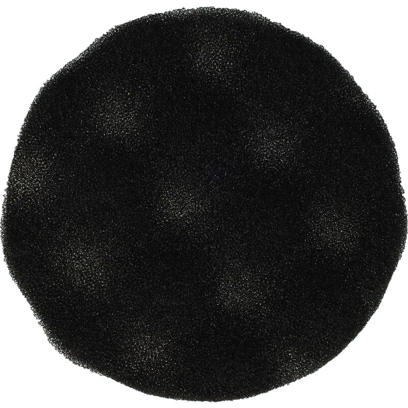 

vhbw Filtro de aspiradora compatible con Rowenta Artec 2 RO4242FA/410 - Filtro de espuma