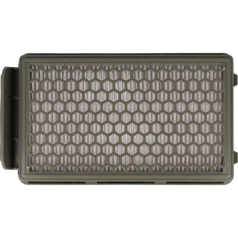 Vhbw - Filtro compatible con Rowenta RO482, RO485, RO487, RO488, RP372 aspiradora - Filtro hepa antialérgico