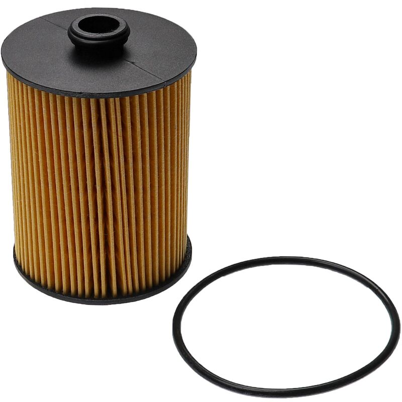 Filtro olio sostituisce Luberfiner P998 per auto