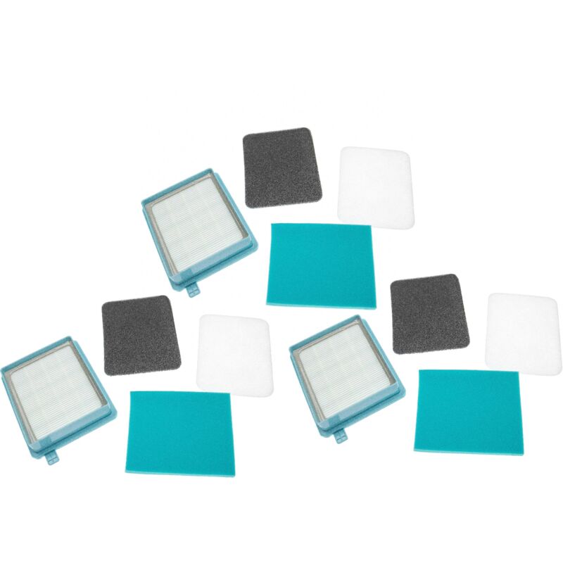 Vhbw - Lot de 12 filtres remplacement pour Grundig 9178005623 pour aspirateur - filtre d'échappement, filtre hepa, filtre d'entrée du moteur