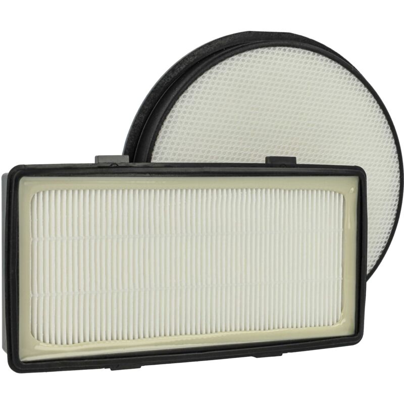 Lot de 2 filtres compatible avec Rowenta RO7611EA/410, RO7623EA/410, RO7631EA/411 aspirateur - filtre d'échappement, préfiltre - Vhbw