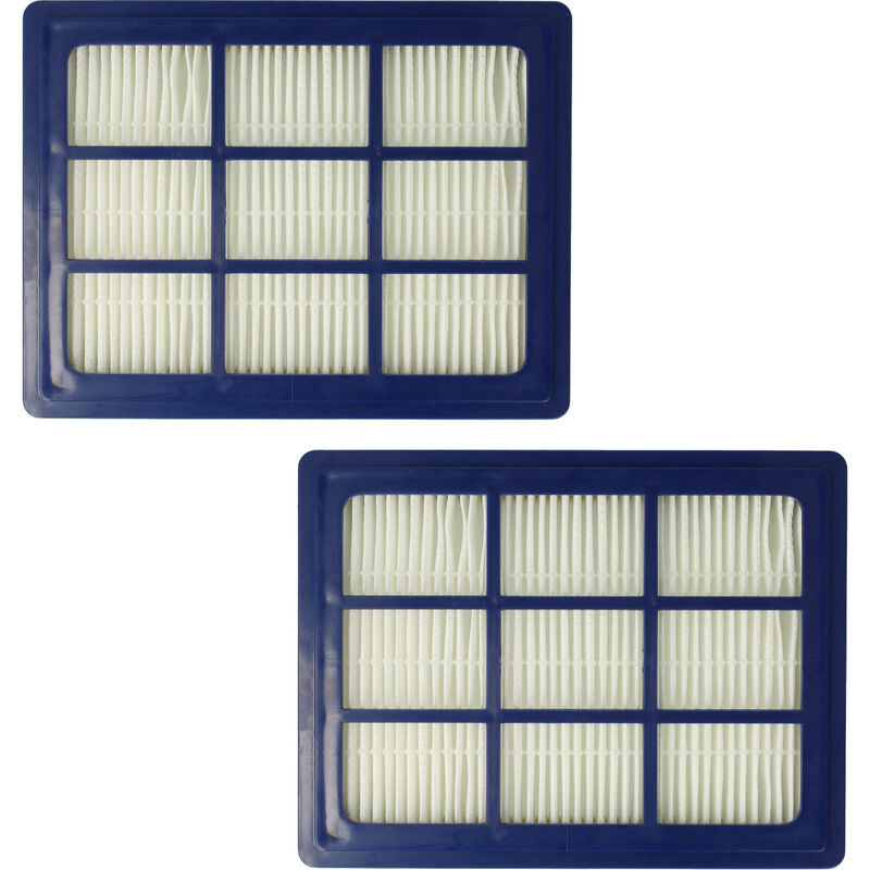 Image of Vhbw - set da 2x filtro compatibile con Nilfisk Elite Superior, Select Classic, Select Comfort aspirapolvere - Filtro hepa anallergico