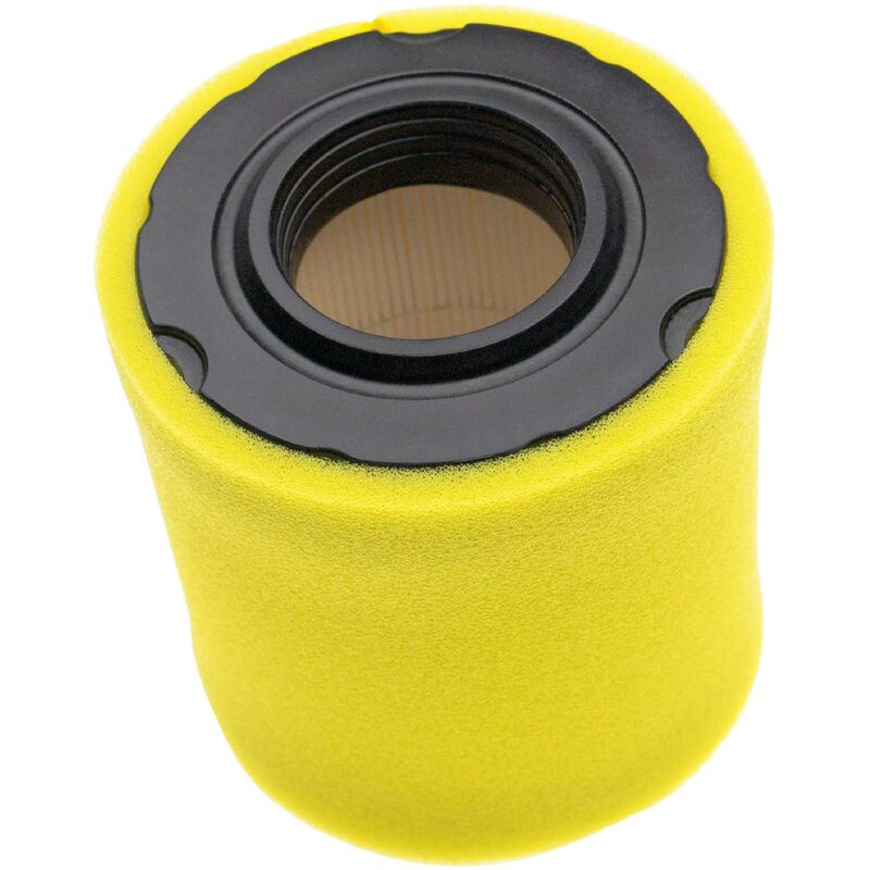 

Set de filtros (1x filtro de aire de papel, 1x filtro de espuma) compatible con Briggs & Stratton 21B807-0326-E1 Motor para tractor de césped - Vhbw