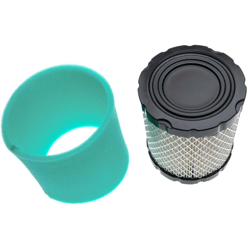 

vhbw Set de filtros (1x filtro de aire de papel, 1x filtro de espuma) compatible con Briggs & Stratton 49T877-0020-G1 Motor para tractor de césped