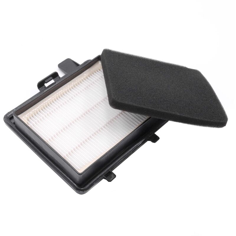 

vhbw Set de filtros compatible con Zelmer Pulser ZVC265SK, ZVC265SP aspirador - 2x filtro (filtro Hepa, filtro de espuma)
