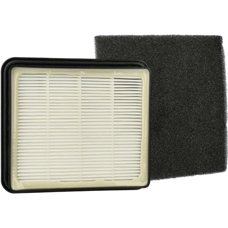 

Set de filtros compatible con Hoover Thunder Space aspirador - 2x filtro (filtro aire salida, filtro entrada del motor) - Vhbw