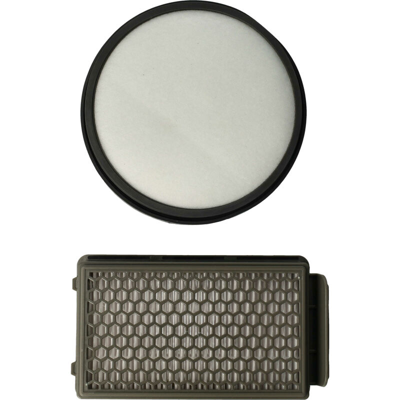 Image of Vhbw - Set filtri compatibile con Rowenta RO3953EA, RO3955EA, RO3969EA, RO3985EA, RO3995EA aspirapolvere - 2x filtri sostituisce (filtro hepa, filtro