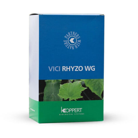 Vici Rhyzoteam WG 500 gr Koppert - Inoculo di funghi micorizzici