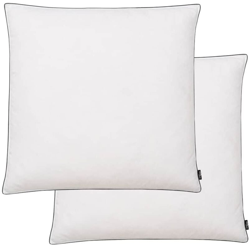 Vidaxl - Oreiller 2 pcs Remplissage de duvet 80 x 80 cm Blanc