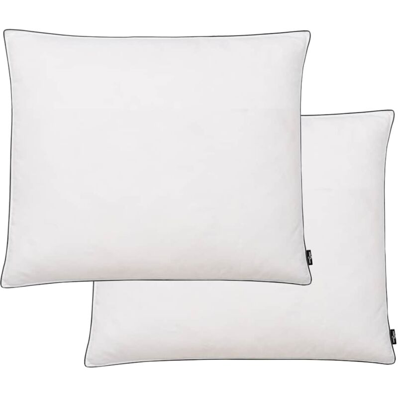 Vidaxl - Oreiller lot de 2 Remplissage de duvet 70 x 60 cm Blanc