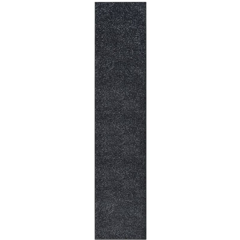 

Alfombra de pasillo BCF gris antracita 60x300 cm - Antracita - Vidaxl