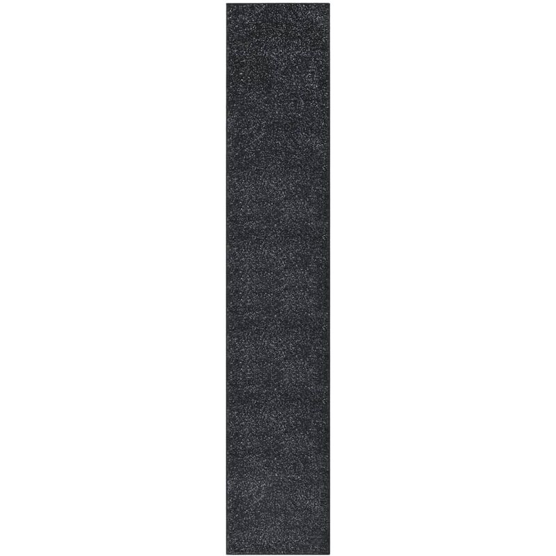 

Alfombra de pasillo BCF gris antracita 60x350 cm - Antracita - Vidaxl