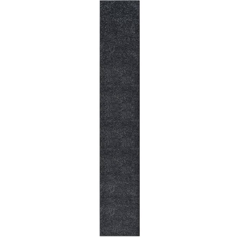 

Alfombra de pasillo BCF gris antracita 80x500 cm - Antracita - Vidaxl