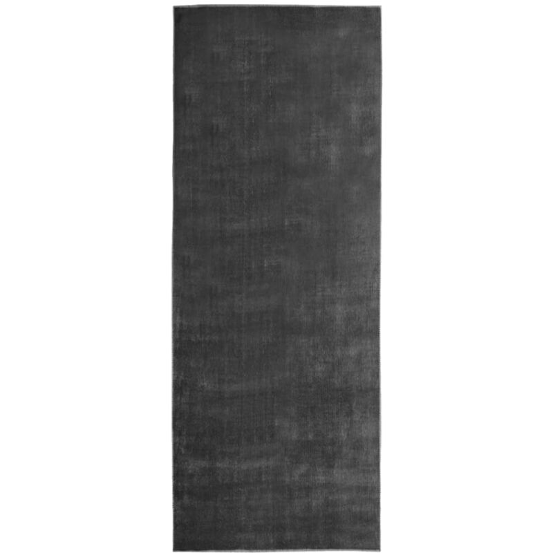 

Alfombra de pasillo lavable gris antracita poliéster 100x300 cm - Antracita - Vidaxl