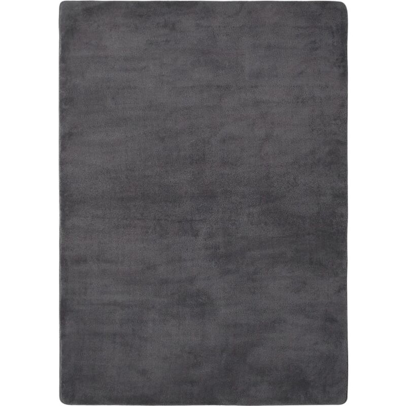 

Alfombra de peluche gris antracita 170x120 cm - Antracita - Vidaxl