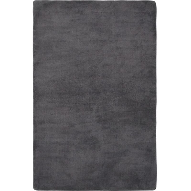 

Alfombra de peluche gris antracita 230x160 cm - Antracita - Vidaxl