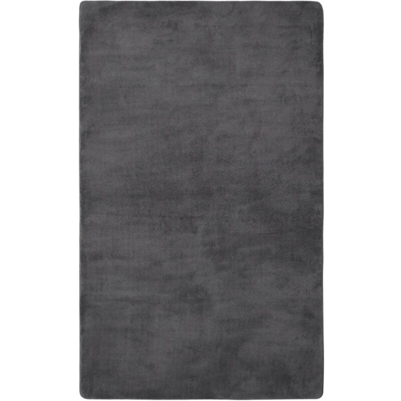 

Alfombra de peluche gris antracita 270x180 cm - Antracita - Vidaxl