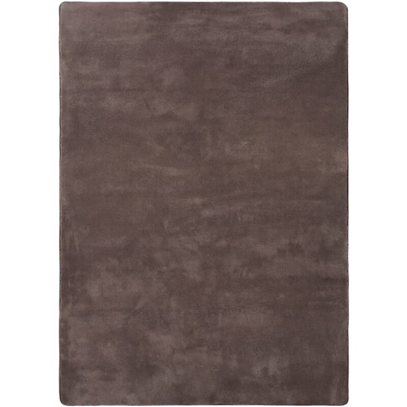 

Alfombra de peluche gris taupe 170x120 cm - Gris Topo - Vidaxl