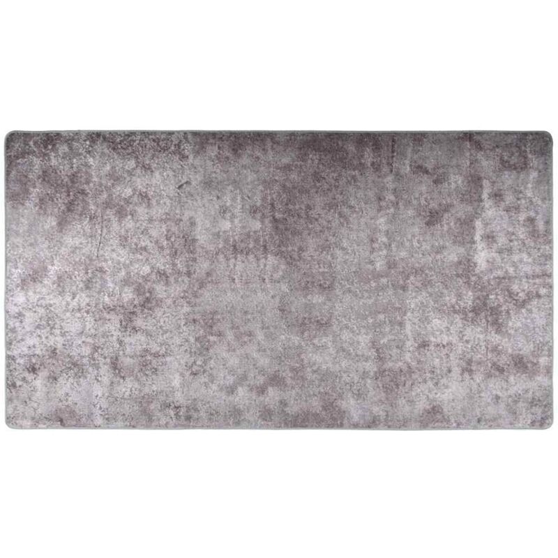 

Alfombra lavable antideslizante gris 190x300 cm - Gris - Vidaxl