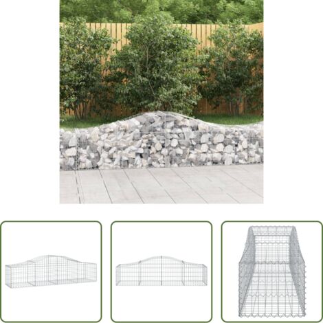 vidaXL Barriera da giardino -  Cesto Gabbione ad Arco 200x50x40/60 cm Ferro Zincato