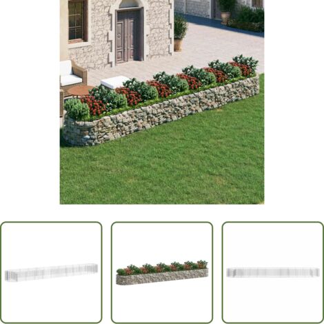 vidaXL Bordes de jardín -  Arriate de gaviones de hierro galvanizado 600x100x50 cm
