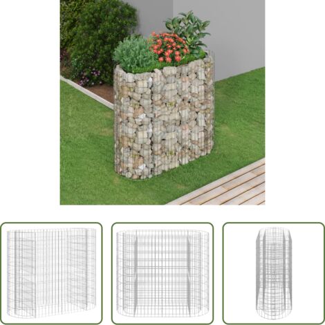vidaXL Bordure -  Lit surélevé à gabion Fer galvanisé 120x50x100 cm