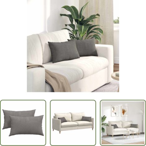 vidaXL Cojines para salón -  Cojines de sofá 2 pcs Gris Claro 50 x 30 cm Tela de pana