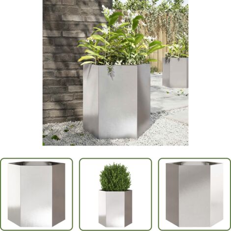 vidaXL Contenitore per piante -  Fioriera da Giardino Esagono 46x40x45 cm in Acciaio