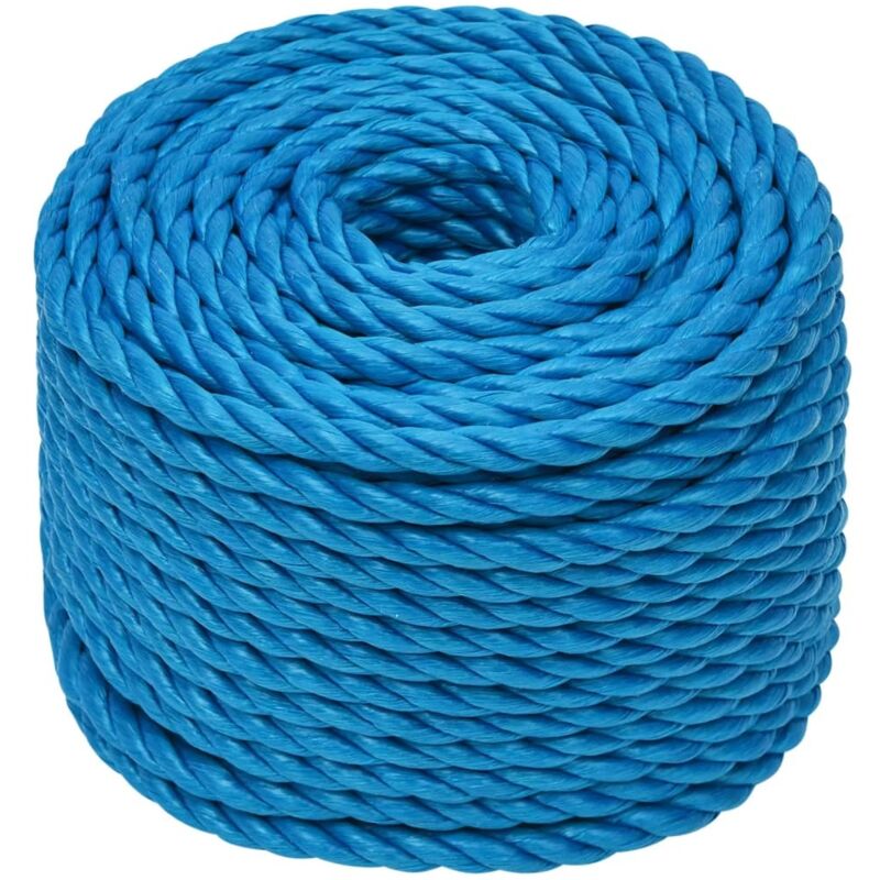 Corde de travail Bleu 24 mm 25 m polypropylène Vidaxl