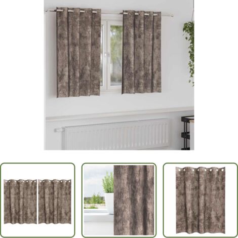 vidaXL Cortinas capuchino -  Cortinas de Terciopelo 2 pcs Capuchino 140 x 140 cm Terciopelo