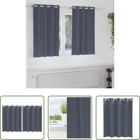 vidaXL Cortinas con aros -  Cortinas Opacas con Anillas 2 pcs Antracita 140 x 140 cm