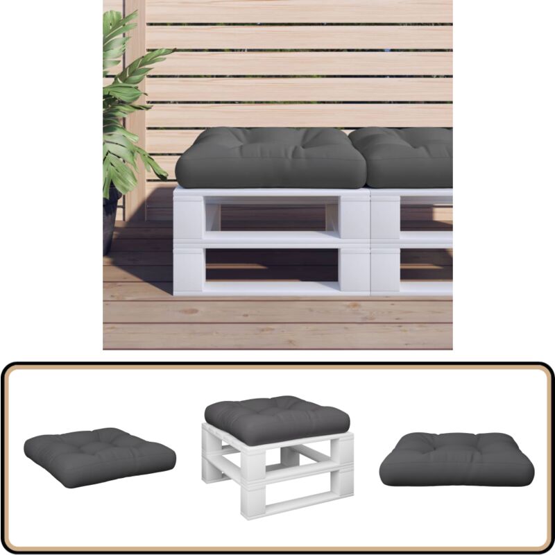 Vidaxl - Coussin de palette anthracite 60x61,5x10 cm tissu