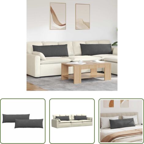 vidaXL Cuscini rimovibili -  Cuscini da Divano 2 pcs Grigio scuro 120 x 40 cm