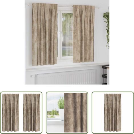 vidaXL Decoración interior -  Cortinas de Terciopelo 2 pcs champán 175 x 140 cm Terciopelo