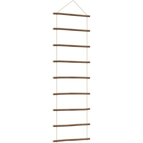 vidaXL Decorazione da Parete a Forma di Scala 50x150 cm Ramo Naturale
