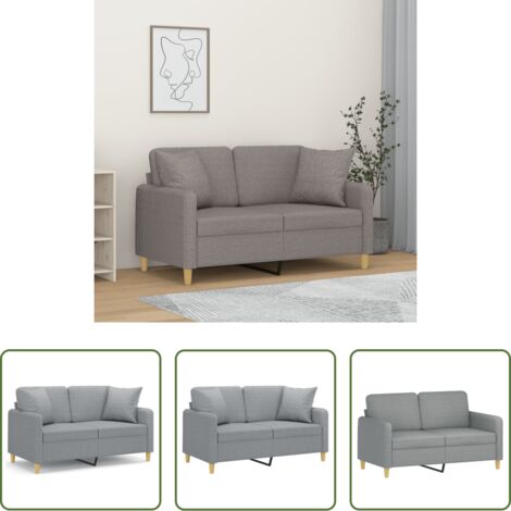 vidaXL Divano moderno -  Divano a 2 Posti con Cuscini Grigio Chiaro 120 cm in Tessuto