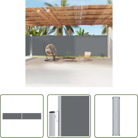 vidaXL Écran d'intimité -  Auvent latéral rétractable Anthracite 220x1200 cm