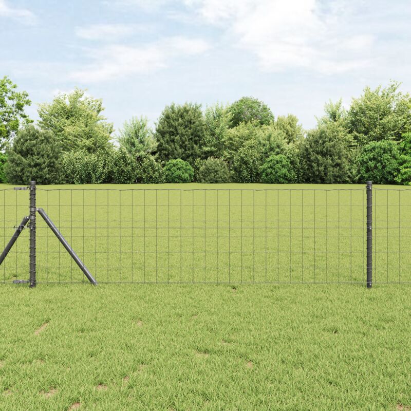 Euro Zaun Grau 0, 8x25 M Stahl Vidaxl857587