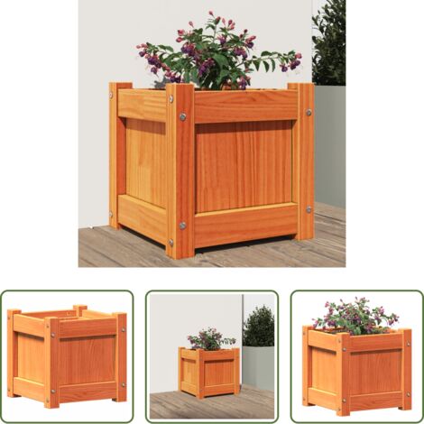 vidaXL Fioriera da esterno -  Fioriera Giardino Marrone Cera 31x31x31 cm Legno Massello Pino