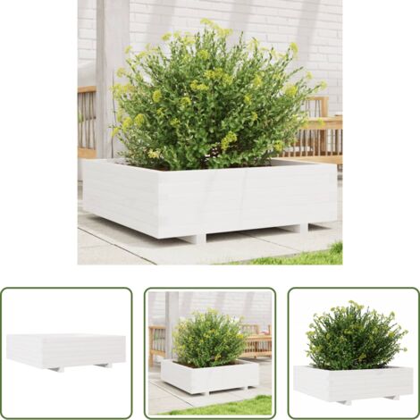 vidaXL Fioriera da giardino in legno -  Fioriera da Giardino Bianca 80x80x26,5cm Legno Massello di Pino