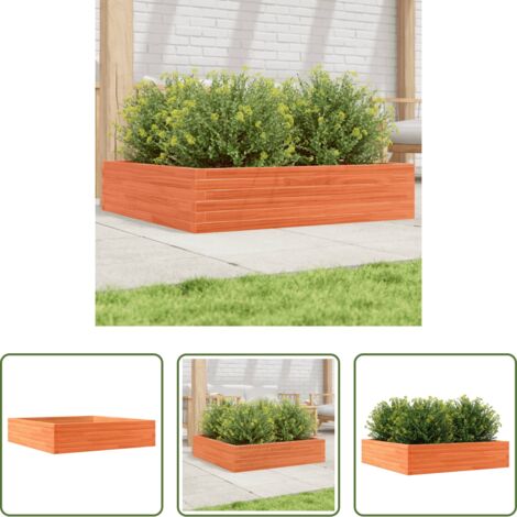 vidaXL Fioriera marrone -  Fioriera Giardino Marrone Cera 100x100x23 Legno Massello Pino