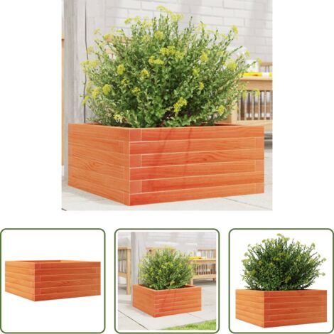 vidaXL Fioriera marrone -  Fioriera Giardino Marrone Cera 50x50x23 cm Legno Massello Pino