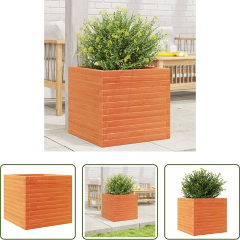vidaXL Fioriera marrone -  Fioriera Giardino Marrone Cera 50x50x46 cm Legno Massello Pino